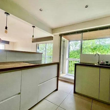 Le Papillon F3 Moderne Avec Terrasse Et Parking Appartamento Mont-Saint-Aignan