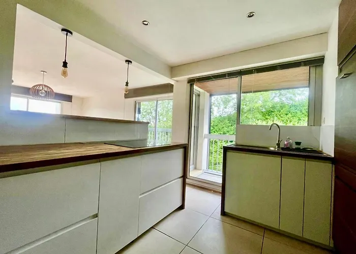 Le Papillon F3 Moderne Avec Terrasse Et Parking Appartamento Mont-Saint-Aignan